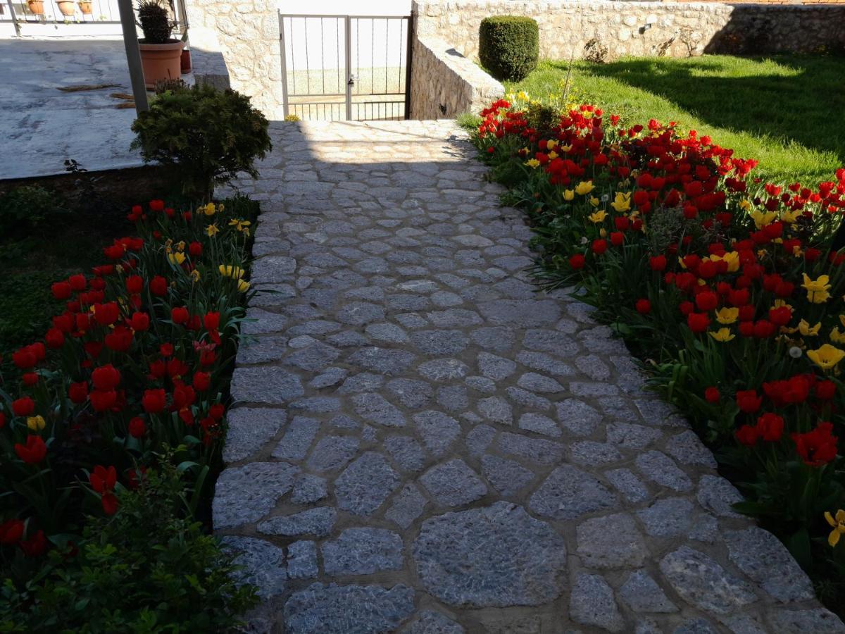 Villa Bella Ohrid Exterior photo